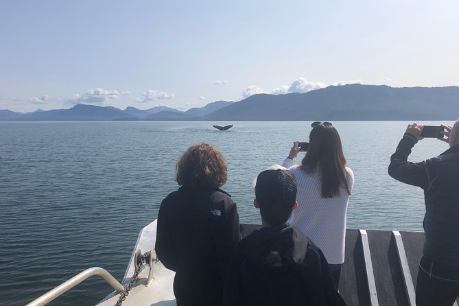 Whale Watching Charters and Bear Search Through Icy Strat Alaska - Wildlife Sightings and Tour Highlights