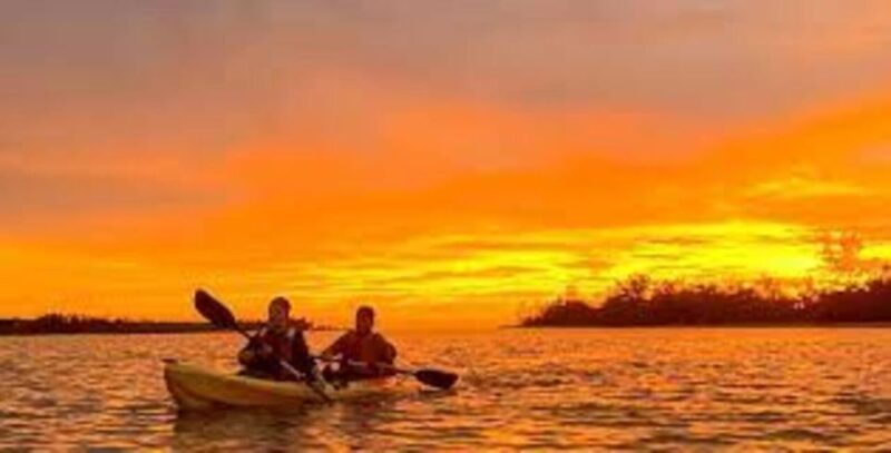 White Water Kayaking in Mapalagama - Experience Highlights