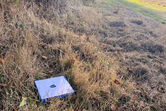 Wild Animal Treasure Hunt - Location and Meeting Point