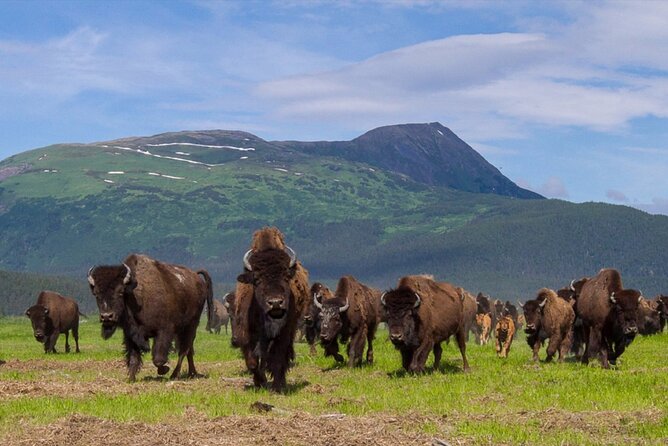 Wildlife Center With Lunch & Local Beer Sampling - Winter&Summer - Meeting and Accessibility