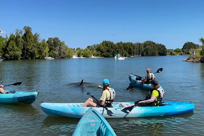 Wildlife Refuge Sunset Dolphin, Manatee & Mangrove Kayak or Paddleboarding Tour! - Manatee and Dolphin Sightings