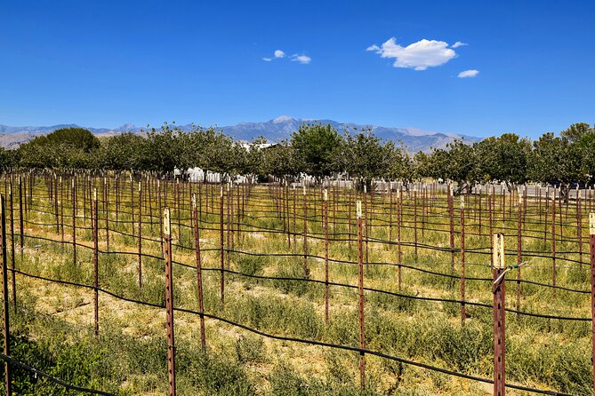 Wine Tasting and Snacks From Las Vegas - Tour Inclusions
