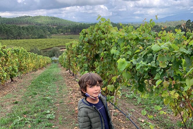 Wine Tourism Experience in Good Company in Terras Gauda O Rosal - Location and Accessibility