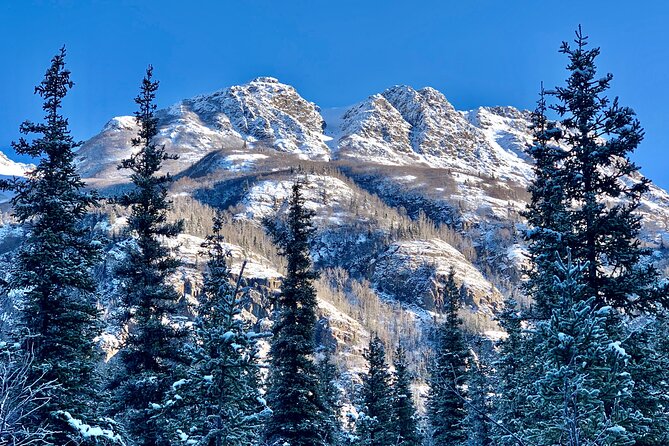 Winter Valley and Forest Hike - Cancellation Policy