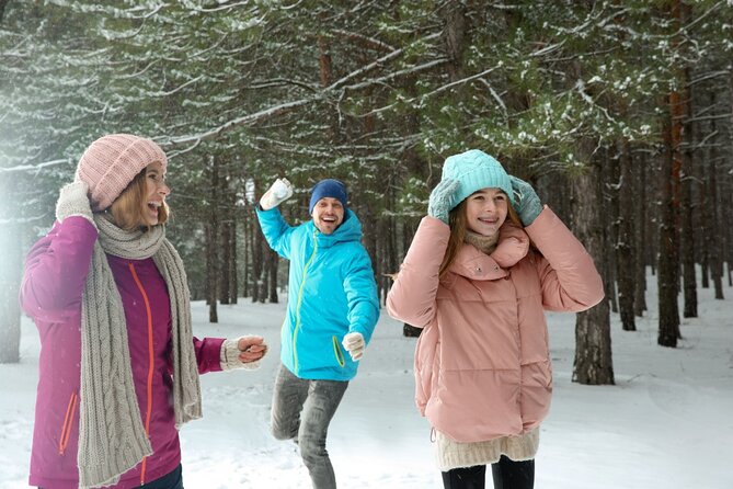 Winter Wonderland Walk: Buffalo's Festive Highlights - Pricing and Booking Details