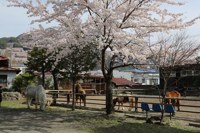 Yabusame Adventure With Mt. Fuji Views - Discovering the Fujisan Simomiya Omuro Sengen Jinja