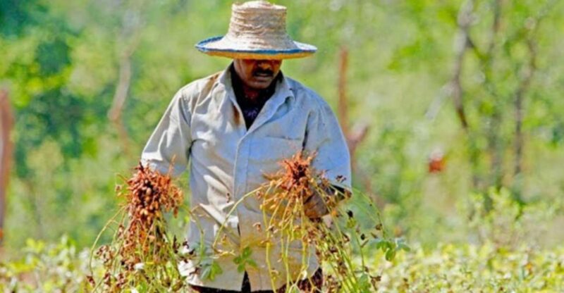Yala: Village Life Exploration Tour! - Experience Highlights