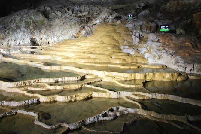Yamaguchis 4spectacular&Karato Market of Day Tour From Fukuoka - Included in the Tour