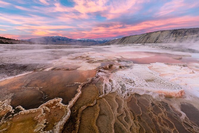Yellowstone in a Day - Wildlife, Canyons, & Hot Springs - Discovering Yellowstones Diverse Ecosystems
