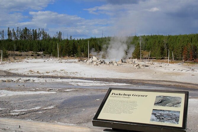 Yellowstone Lower Loop VIP Full-Day Private Tour With Lunch - Inclusions and Logistics