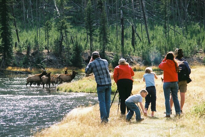 Yellowstone Lower (Southern) Loop Tour - Inclusions