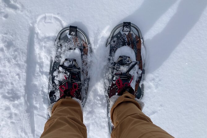 Yellowstone Snowshoe Adventure - Private Tour From Jackson Hole - Snowshoeing Experience in Yellowstone National Park