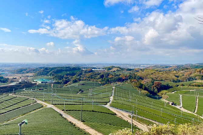 YokaBus Heritage in a Cup of a Yame Tea & Sake Tasting Expedition - Inclusions