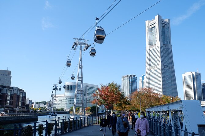 Yokohama Air Cabin One-Way Ticket - Accessibility and Safety