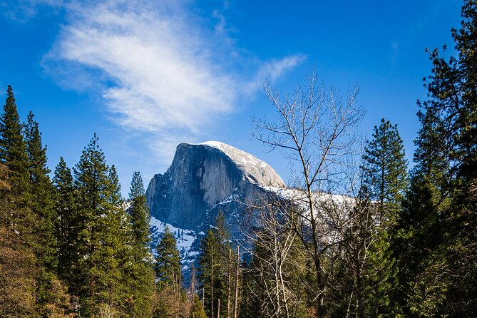 Yosemite Adventure: Full-Day Private Tour From San Francisco - Hiking Through Lush Forests and Meadows
