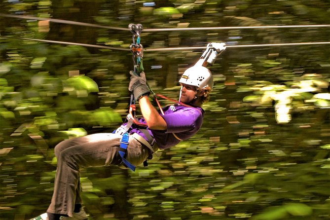 Zipline Canopy & Dunns River Falls Guided Tour With Admission From Montego Bay - Highlights of the Experience