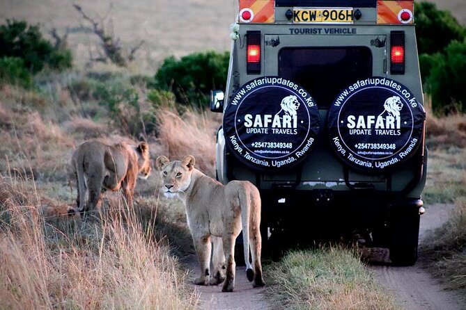 3 Days 2 Nights Group Joining Midrange Safari Tour in Masai Maraa - Key Points