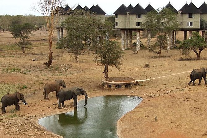 3 Days 2 Nights Tsavo East Taita Hills Game Sanctuary on Stilts - Key Points