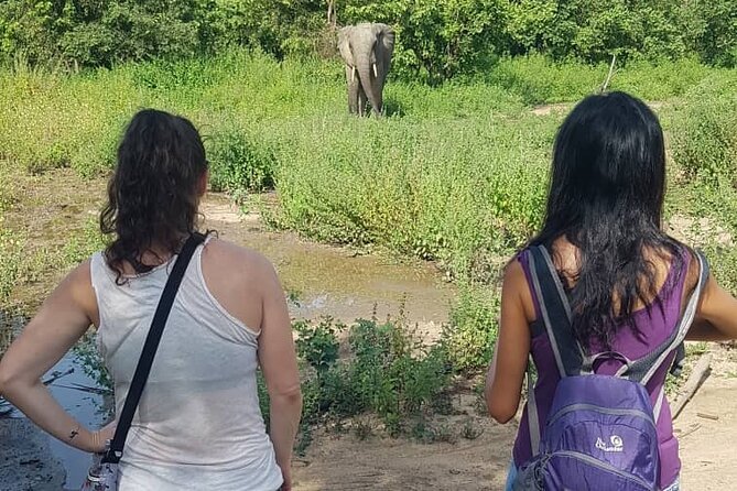 3 Days Elephants Safari at Mole Park With Round - Trip Flights - Key Points