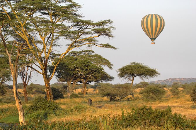 3 Days Serengeti- Ngorongoro Crater Budget Tour - Key Points