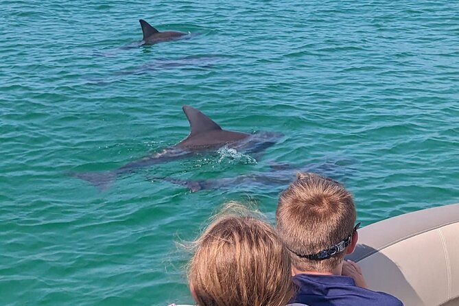 3 Hour Crab Island and Harbor Tour From Destin Non-Private - Tour Overview and Highlights