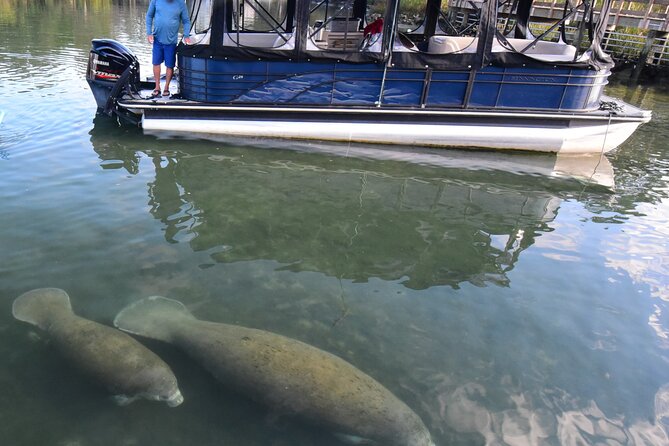 3 Hour Crystal River Wildlife Safari Boat Cruise - Key Points