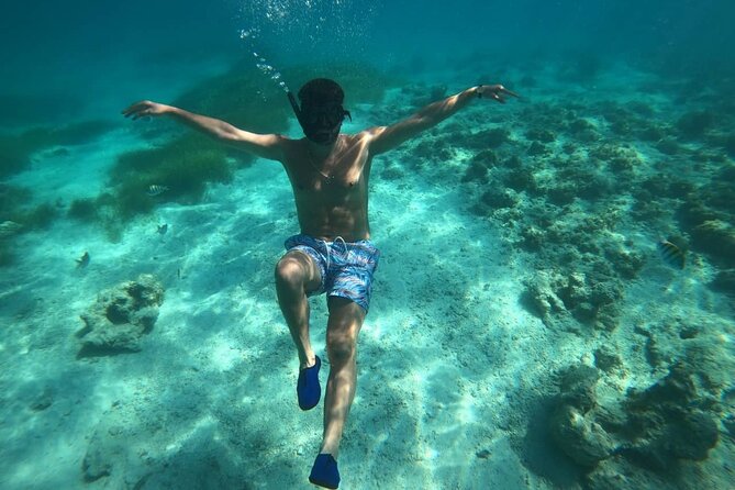 3-Hour Guided Snorkeling and Boat Party in Punta Cana - Key Points