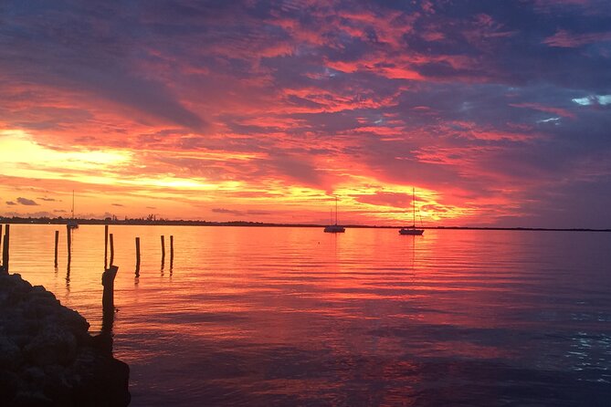 1.5 Hour Bay Side Key Largo Sunset Cruise on a Spacious Catamaran - Customer Experiences
