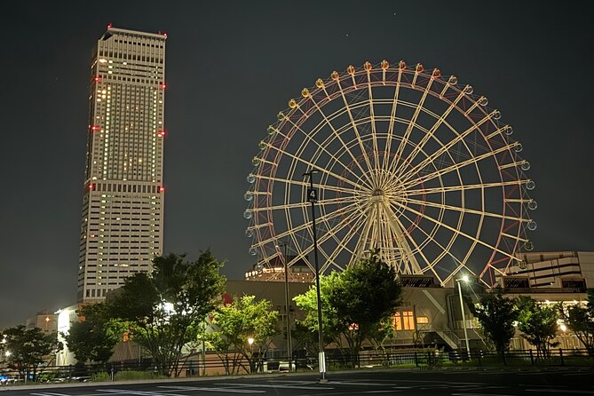 1 Day Osaka Private Tour With English Speaking Guide - Accessibility