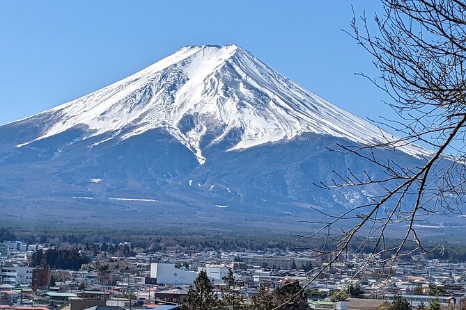 1 Day Private Mt Fuji & Lake Kawaguchiko English Speaking Driver - Discovering Lake Kawaguchiko
