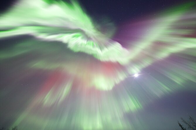 1 Day Shared Tour Arctic Circle and Aurora Viewing in Alaska - Whats Included