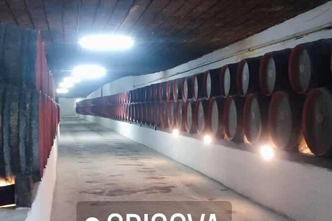 1 Day: Wine Tasting Tour to Milesti Mici and Cricova Cellar From Moldova - Accessibility and Participation