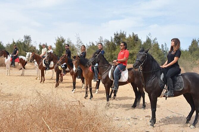 1 Hour Guided Horse Riding Activity in Sharm El Sheikh - Customer Reviews and Ratings