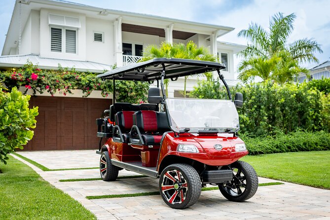 1 Week Golf Cart Rental Review - Accessibility and Participation