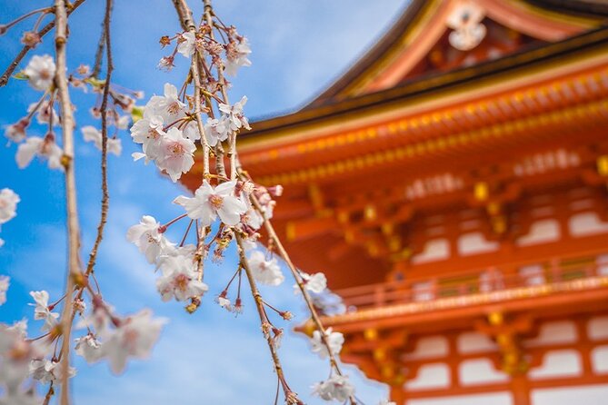 10 Days In-depth Discover Japan Deluxe Tour - Accommodations and Meals