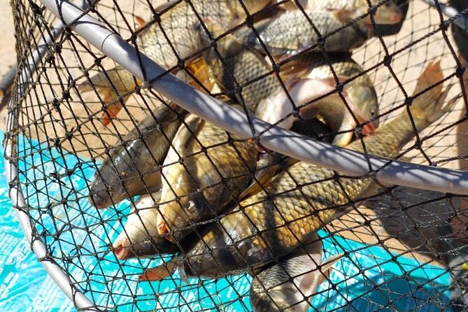 100 % Catch Rate Cape Town Wild Tours - Accessibility Features