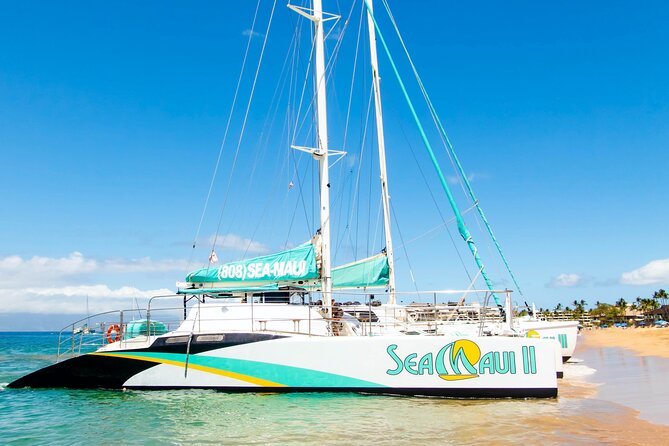 2.5 Hour Xpress Snorkel From Ka'Anapali Beach - Tour Inclusions and Meeting Point