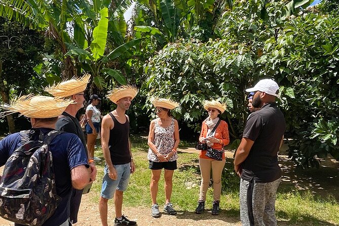 2-Day All-Inclusive Package Along the Coffee Route in the South - Booking Process