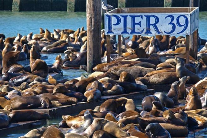 2-Day Hop-On Hop-Off Tour & Alcatraz - Departure and Check-In Details