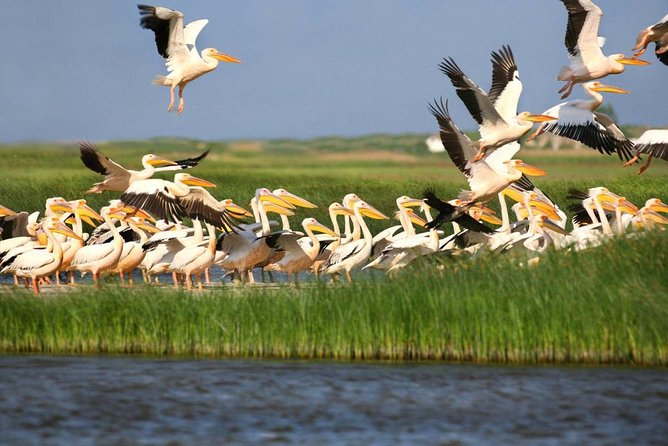 2-Day Private Tour of Danube Delta From Bucharest - Ask Away