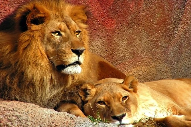 2 Day Safari Isimangaliso Wetland Park & Hluhluwe Imfolozi From Durban - Pickup Information