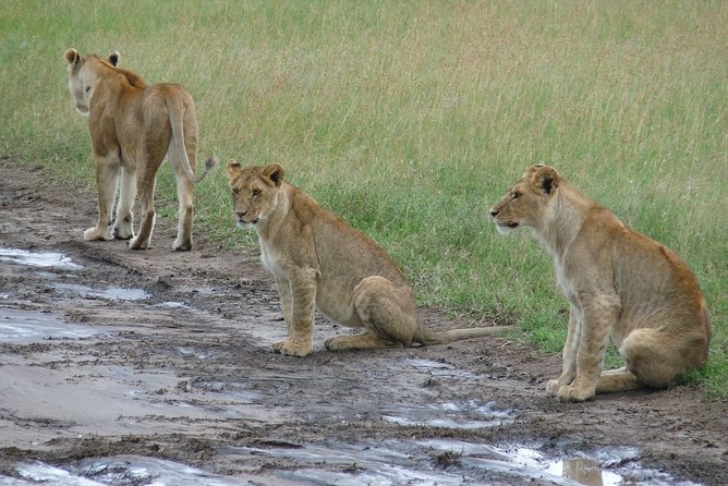 2 Days Lodge Safari.