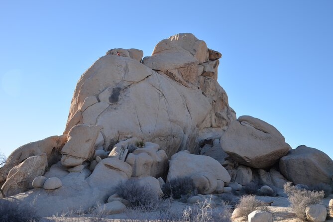 2-Days Private Tour to Joshua Tree National Park From Los Angeles - Pickup Information