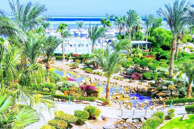 2 Diving Stops at the Most Beautiful Coral Reefs Hurghada - Booking Information and Tips