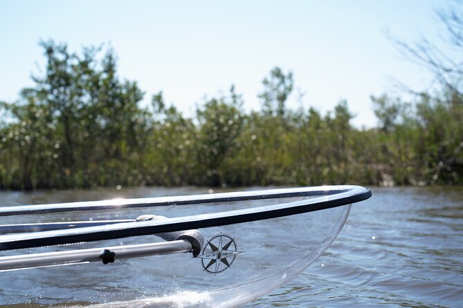 2-Hour Glass Bottom Guided Eco Tour in Flagler County-Small-group - Inclusions