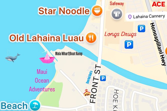 2 Hour Lahaina Sunrise Whale Watch - Accessibility and Physical Requirements