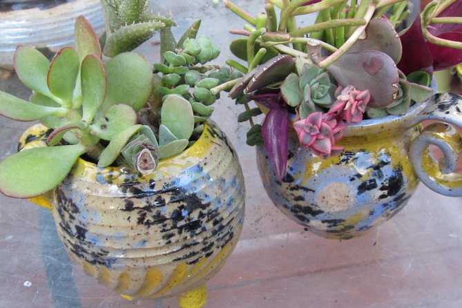 2- Hour Pottery Workshop and Studio Tour in Ojai - Workshop Structure and Inclusions