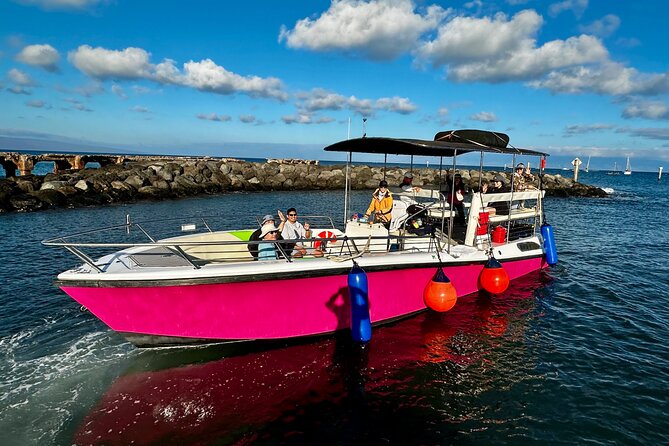 2 Hour Prime Time Maui Whale Watching - Customer Feedback and Highlights