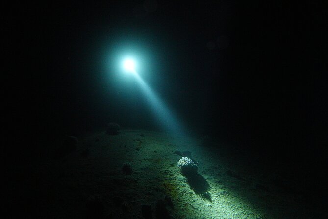2 Hour Private Night Diving in the Red Sea of Aqaba - Meeting Point and Logistics