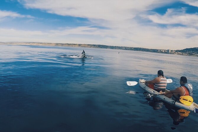 2 Hour Whale Watching Kayak Tour for Two - Inclusions